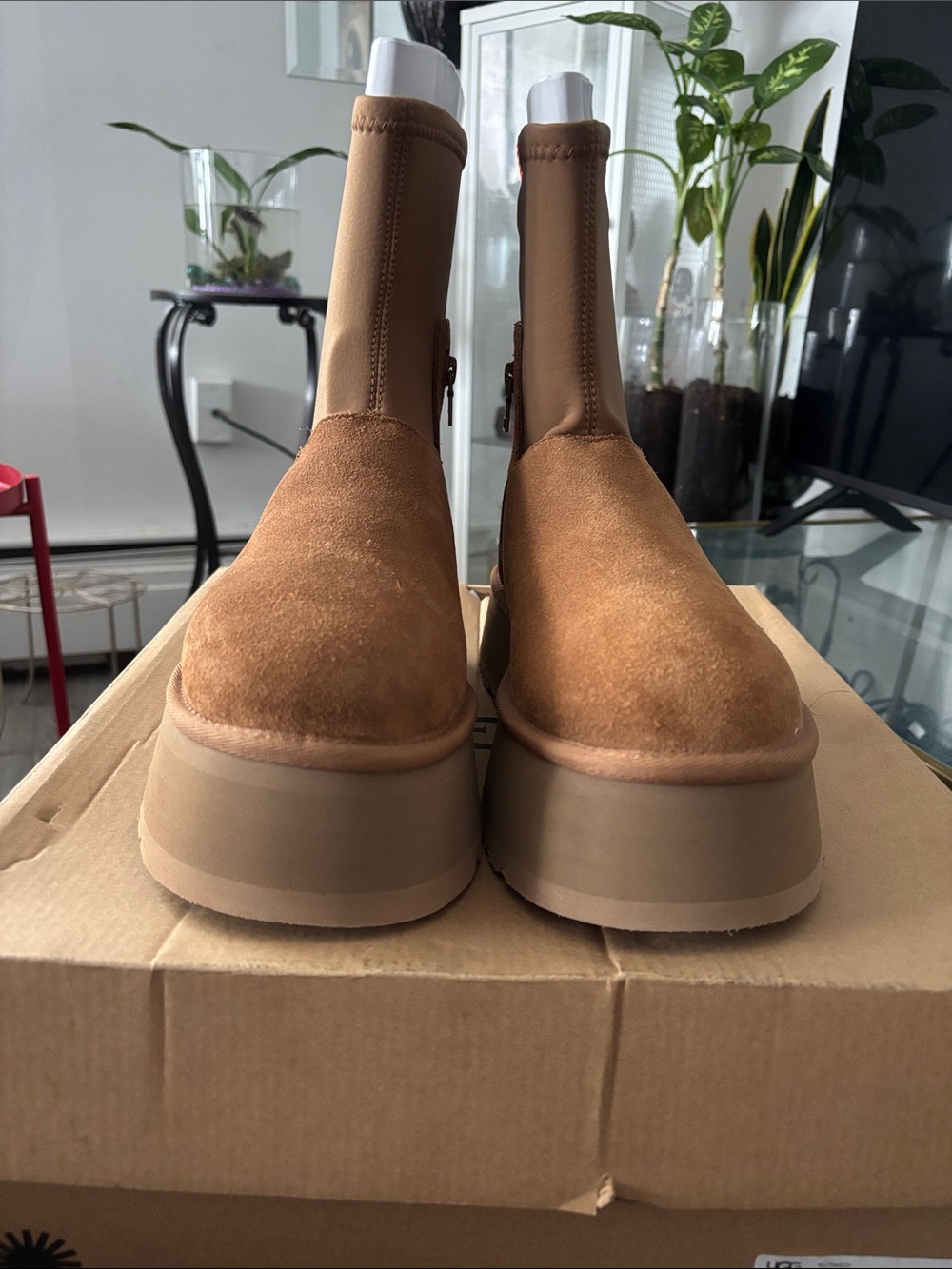 Ugg